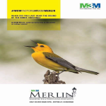 At M3M Merlin, Wake Up Everyday to the Sound of Mother Natural